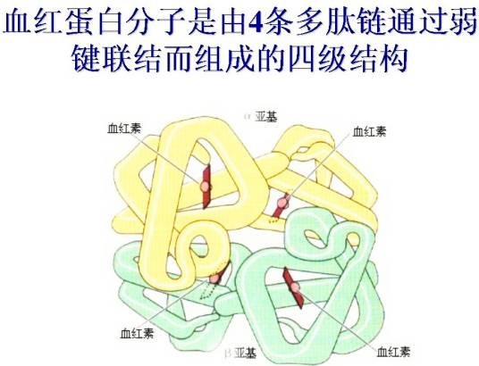 血色素
