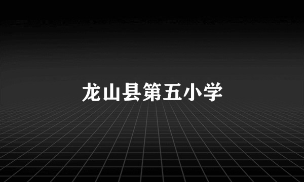 龙山县第五小学