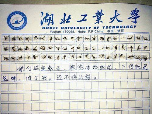 60只蚊子写作文