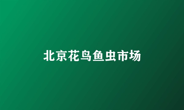 北京花鸟鱼虫市场