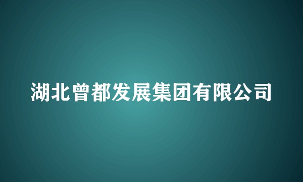 湖北曾都发展集团有限公司