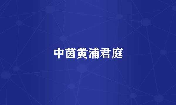 中茵黄浦君庭