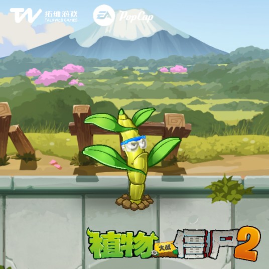 石斛防风网