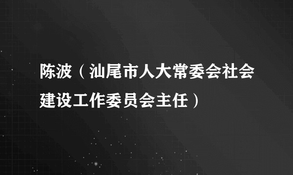 陈波（汕尾市人大常委会社会建设工作委员会主任）