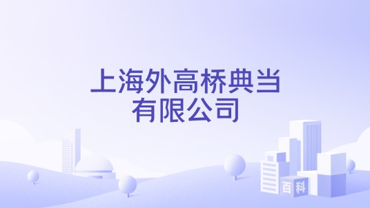 上海外高桥典当有限公司