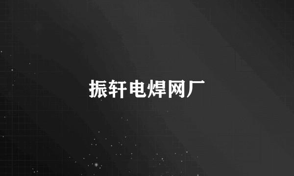 振轩电焊网厂