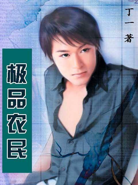 极品农民(丁一创作的网络小说)