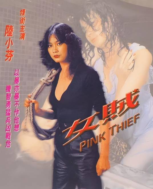 女贼(1982年岳千峰执导的中国台湾犯罪电影)