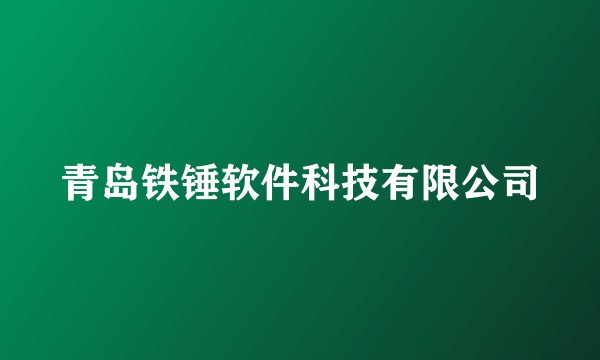 青岛铁锤软件科技有限公司