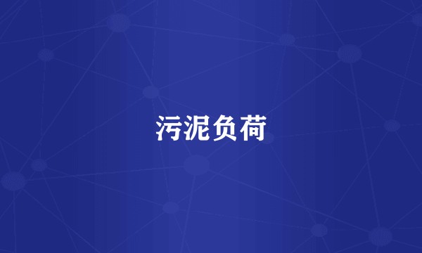 污泥负荷