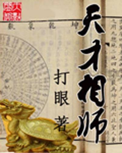 天才相师(打眼创作的都市类网络小说)