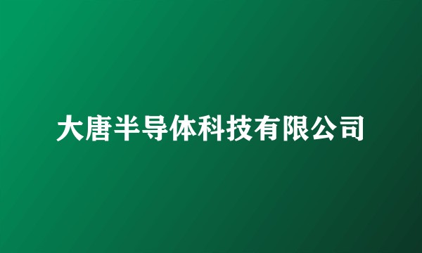大唐半导体科技有限公司