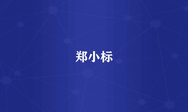 郑小标