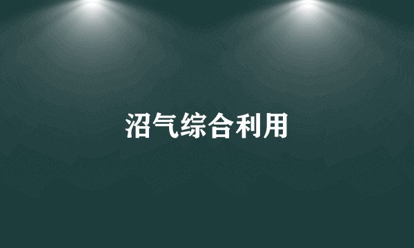 沼气综合利用