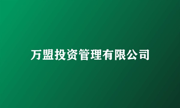万盟投资管理有限公司