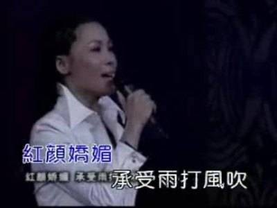 风雨彩虹铿锵玫瑰（2003年田震演唱的歌曲）