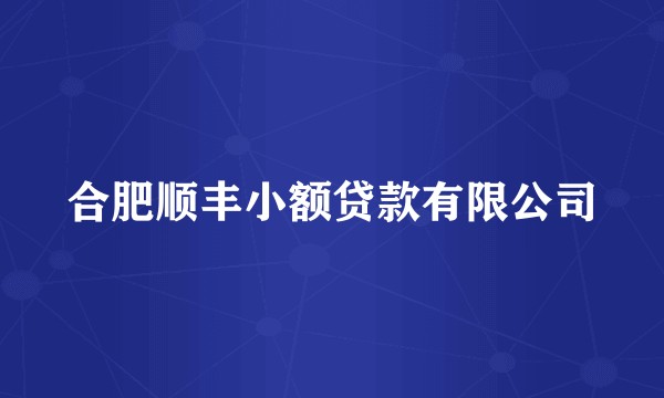合肥顺丰小额贷款有限公司