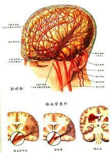 抑制区