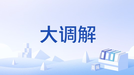 大调解