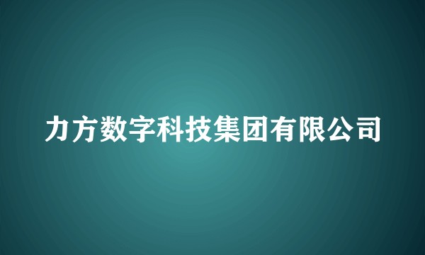 力方数字科技集团有限公司