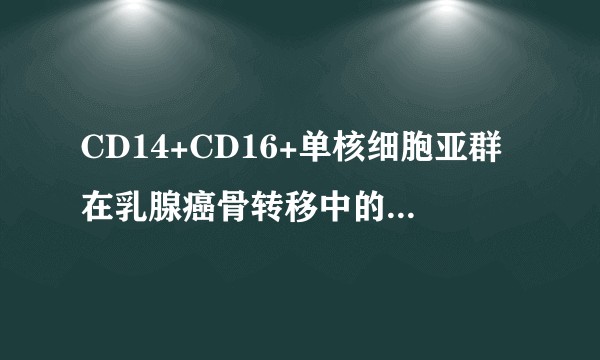CD14+CD16+单核细胞亚群在乳腺癌骨转移中的作用及机制研究