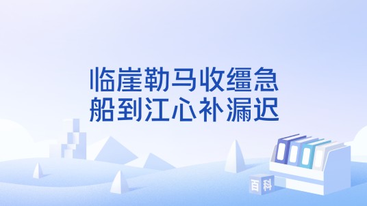 临崖勒马收缰急，船到江心补漏迟