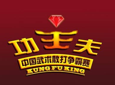 中国武术散打功夫王争霸赛