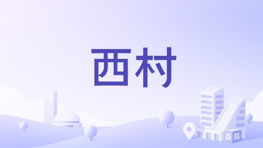 西村（山西省长治市潞城区潞华街道下辖村）