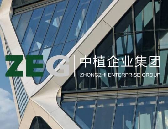 中植企业集团有限公司