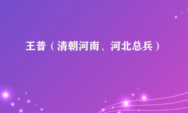 王普（清朝河南、河北总兵）