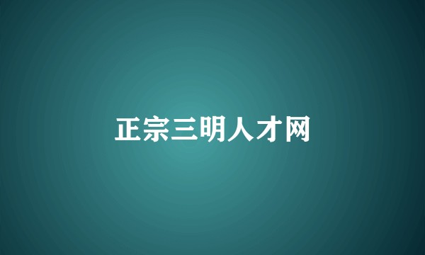 正宗三明人才网
