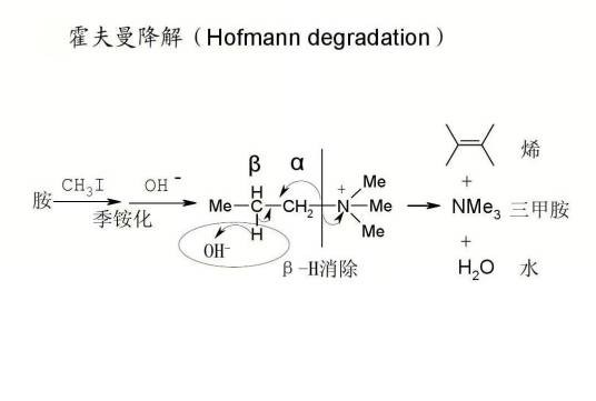 霍夫曼降解反应