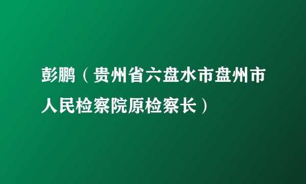 彭鹏(贵州省六盘水市盘州市人民检察院原检察长)