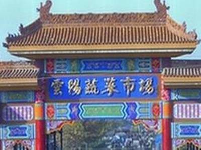 云阳镇(陕西省咸阳市泾阳县下辖镇)