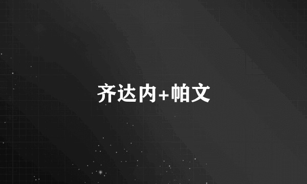 齐达内+帕文