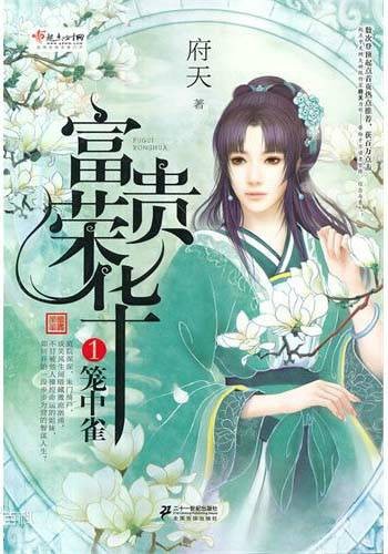 富贵荣华（府天创作的古代言情小说）