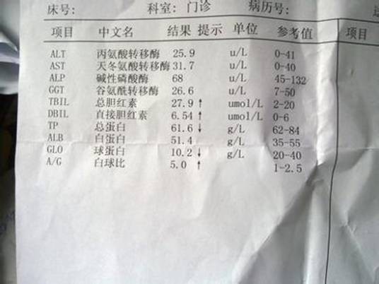 胆红素