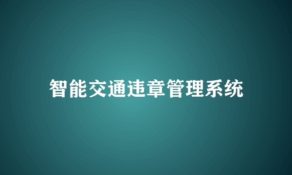 智能交通违章管理系统