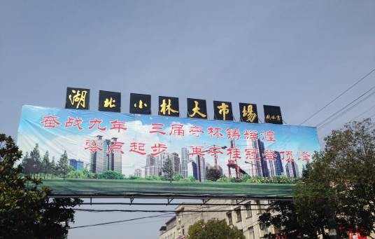 小林镇（湖北省随州市随县辖镇）