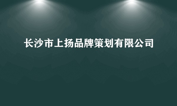 长沙市上扬品牌策划有限公司