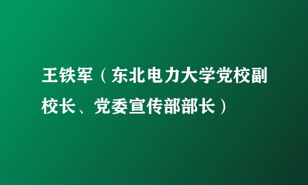 王铁军(东北电力大学党校副校长、党委宣传部部长)