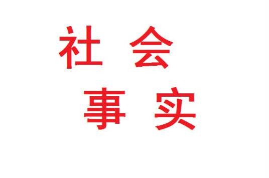 社会事实