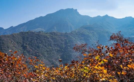 大房山