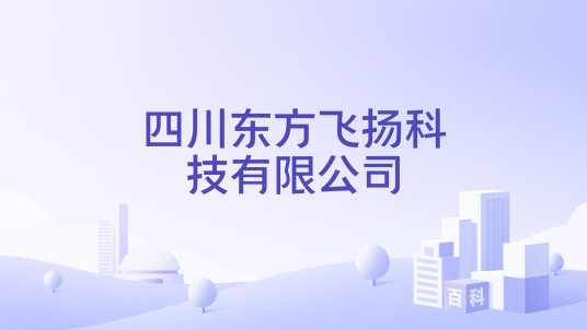 四川东方飞扬科技有限公司