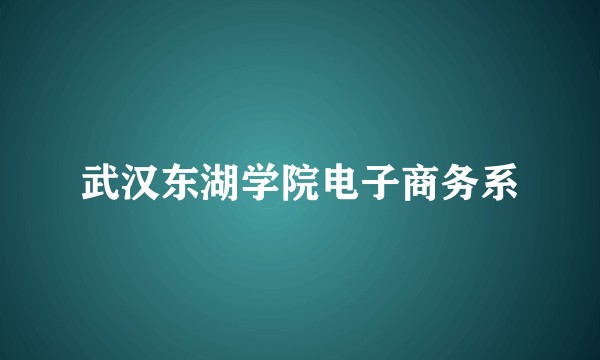 武汉东湖学院电子商务系