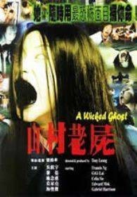 山村老尸（1999年梁鸿华执导恐怖电影）