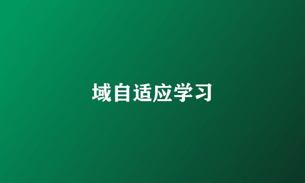 域自适应学习