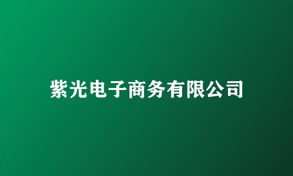 紫光电子商务有限公司
