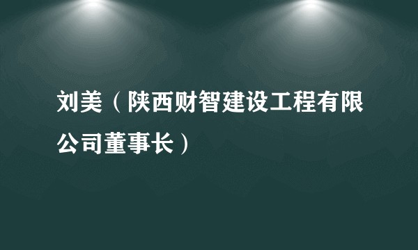 刘美（陕西财智建设工程有限公司董事长）