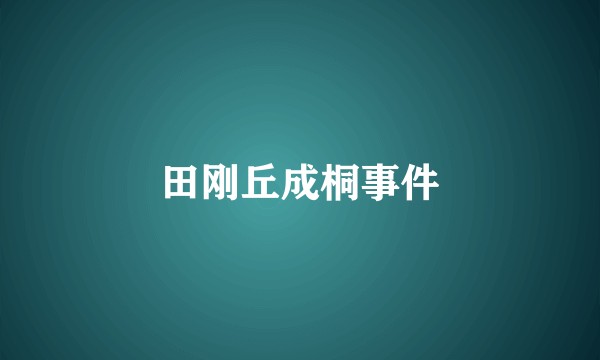 田刚丘成桐事件